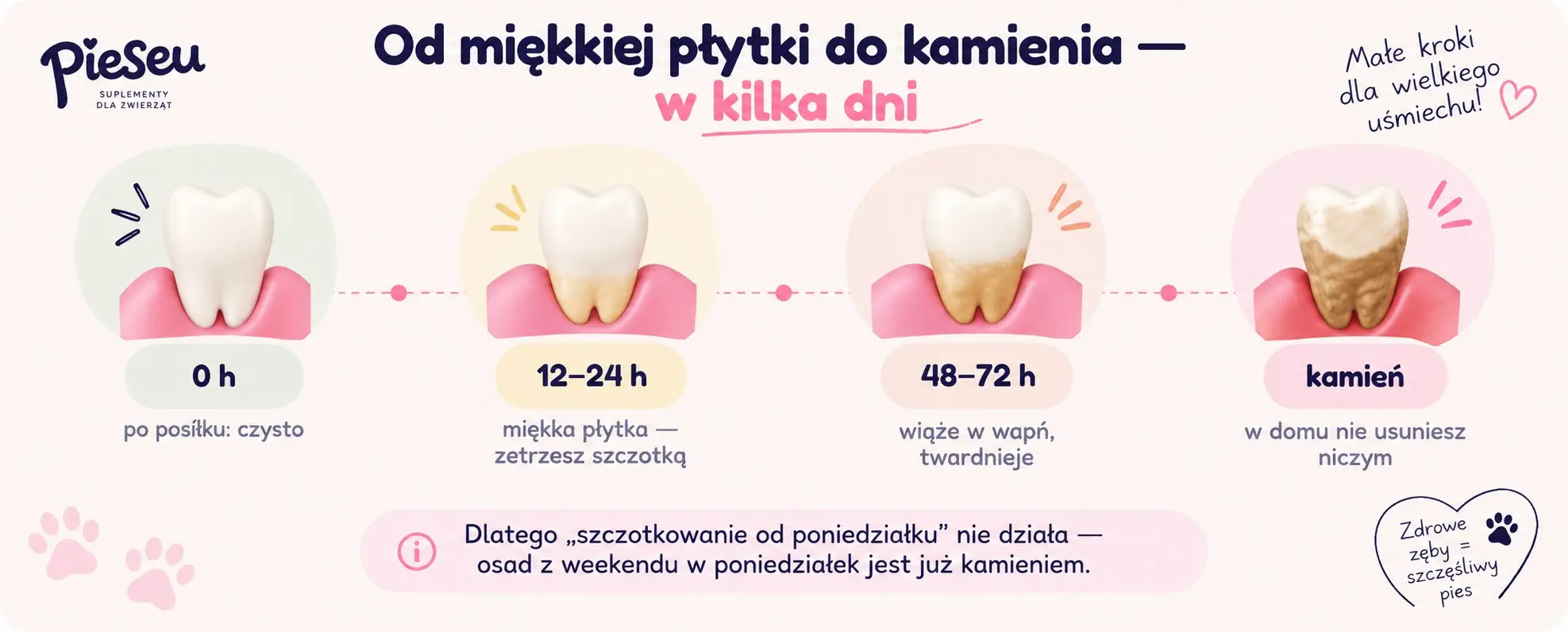 Od miękkiej płytki do kamienia w kilka dni
